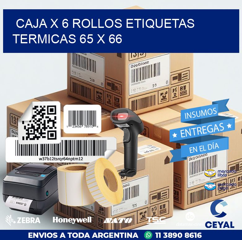 Caja X 6 Rollos Etiquetas termicas 65 x 66