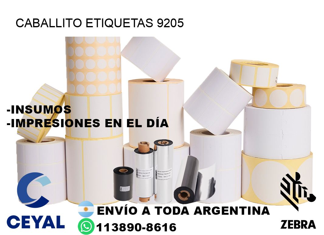 Caballito etiquetas 9205