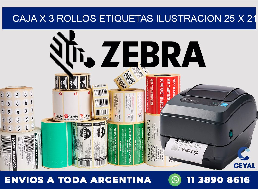 Caja X 3 Rollos Etiquetas Ilustracion 25 x 21