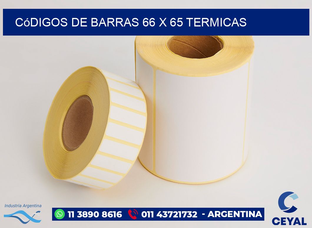 Códigos de Barras 66 x 65 termicas