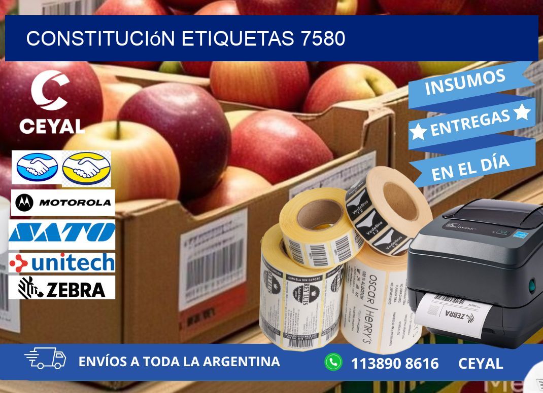 Constitución etiquetas 7580
