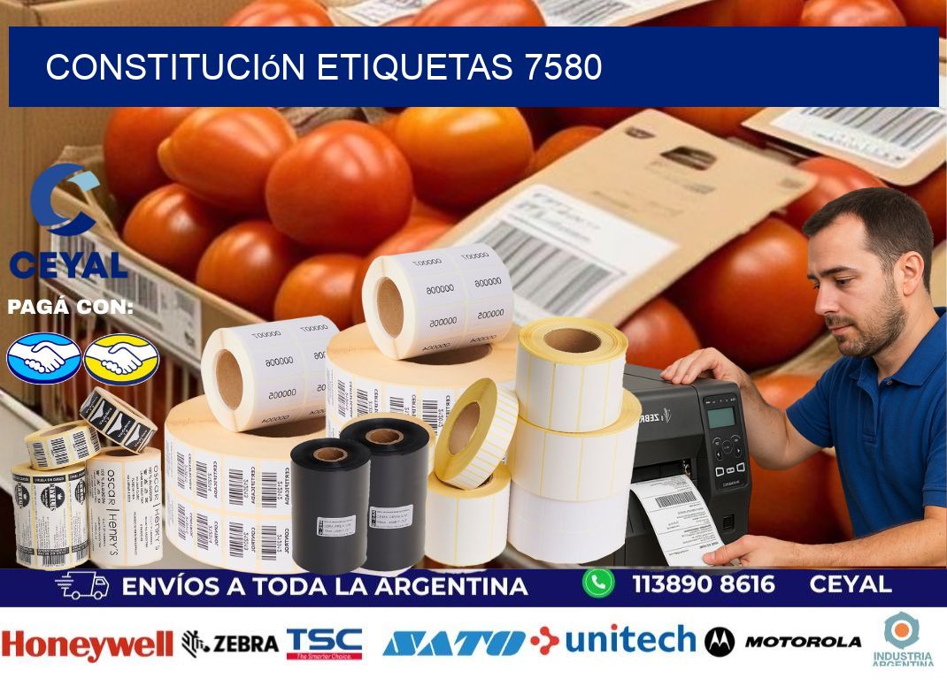 Constitución etiquetas 7580
