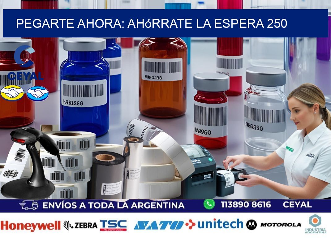 PegArte Ahora: Ahórrate la Espera 250