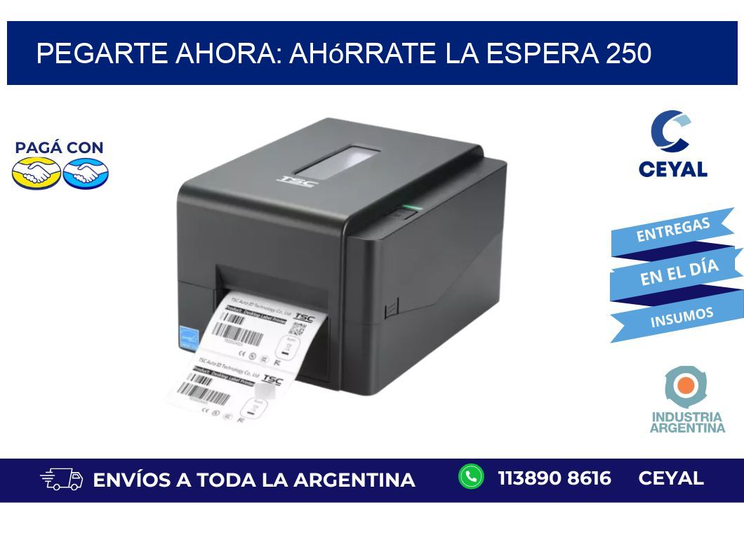 PegArte Ahora: Ahórrate la Espera 250