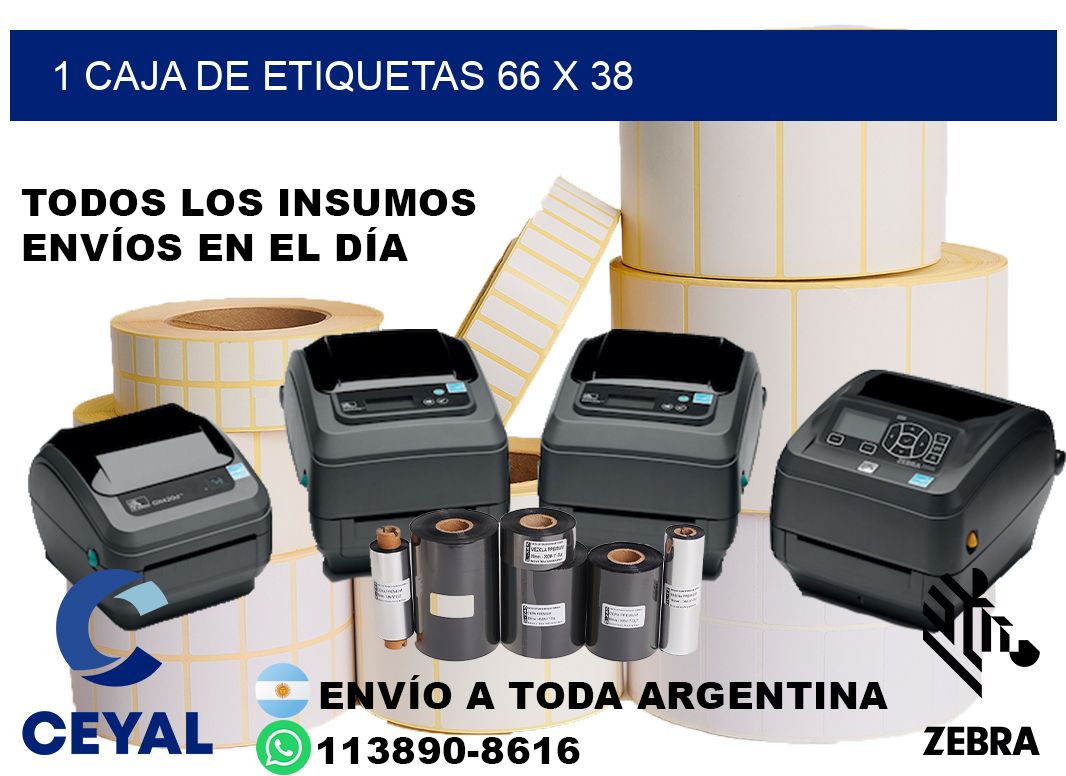 1 caja de etiquetas 66 x 38