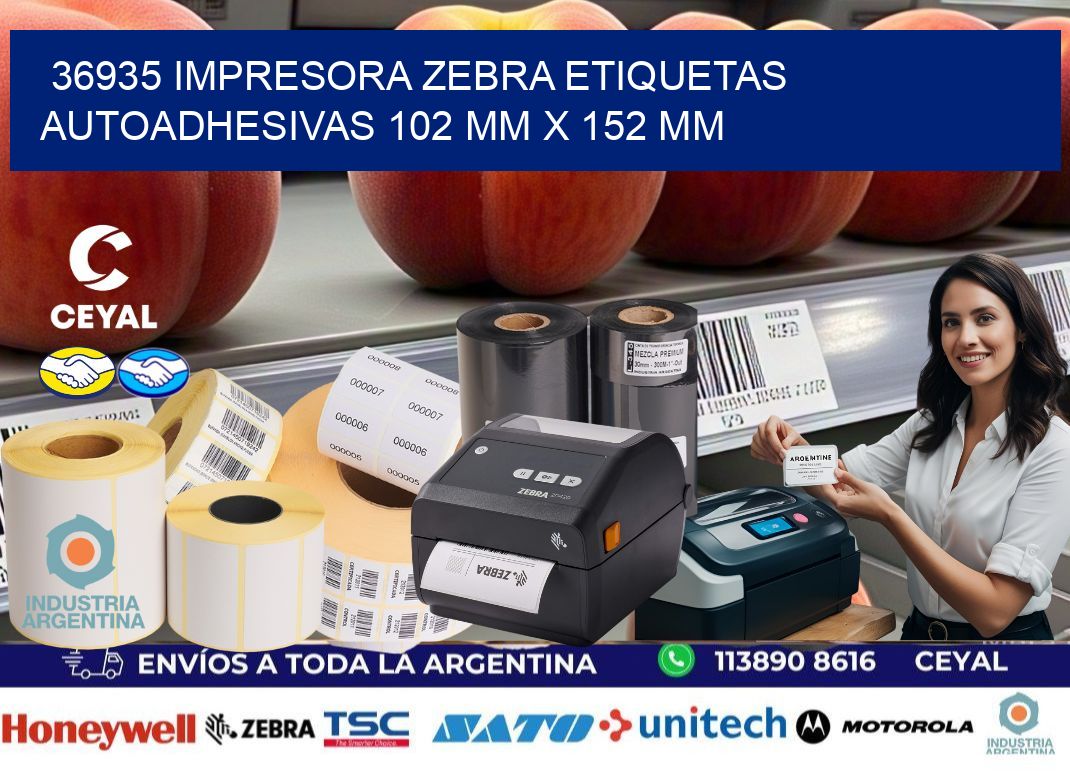 36935 impresora zebra etiquetas autoadhesivas 102 mm x 152 mm