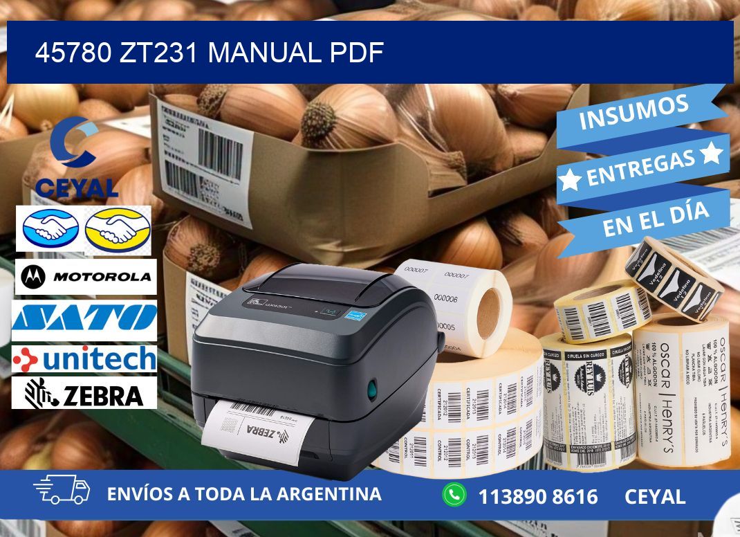 45780 ZT231 manual PDF