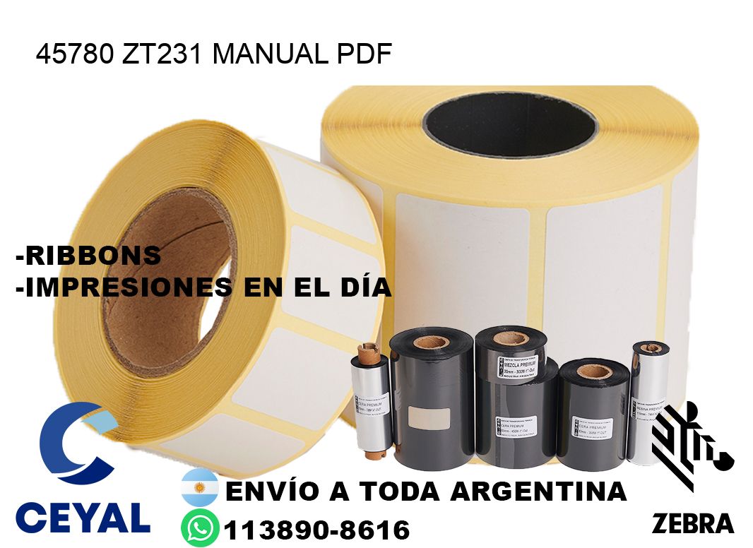 45780 ZT231 manual PDF
