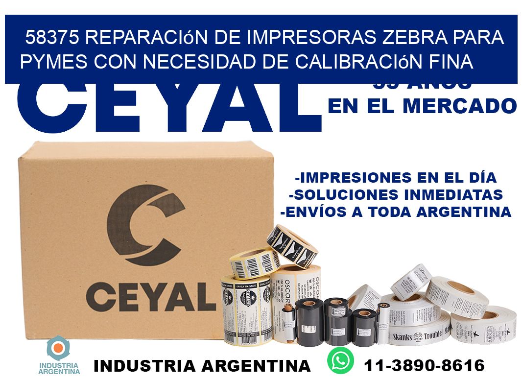 58375 reparación de impresoras zebra para pymes con necesidad de calibración fina