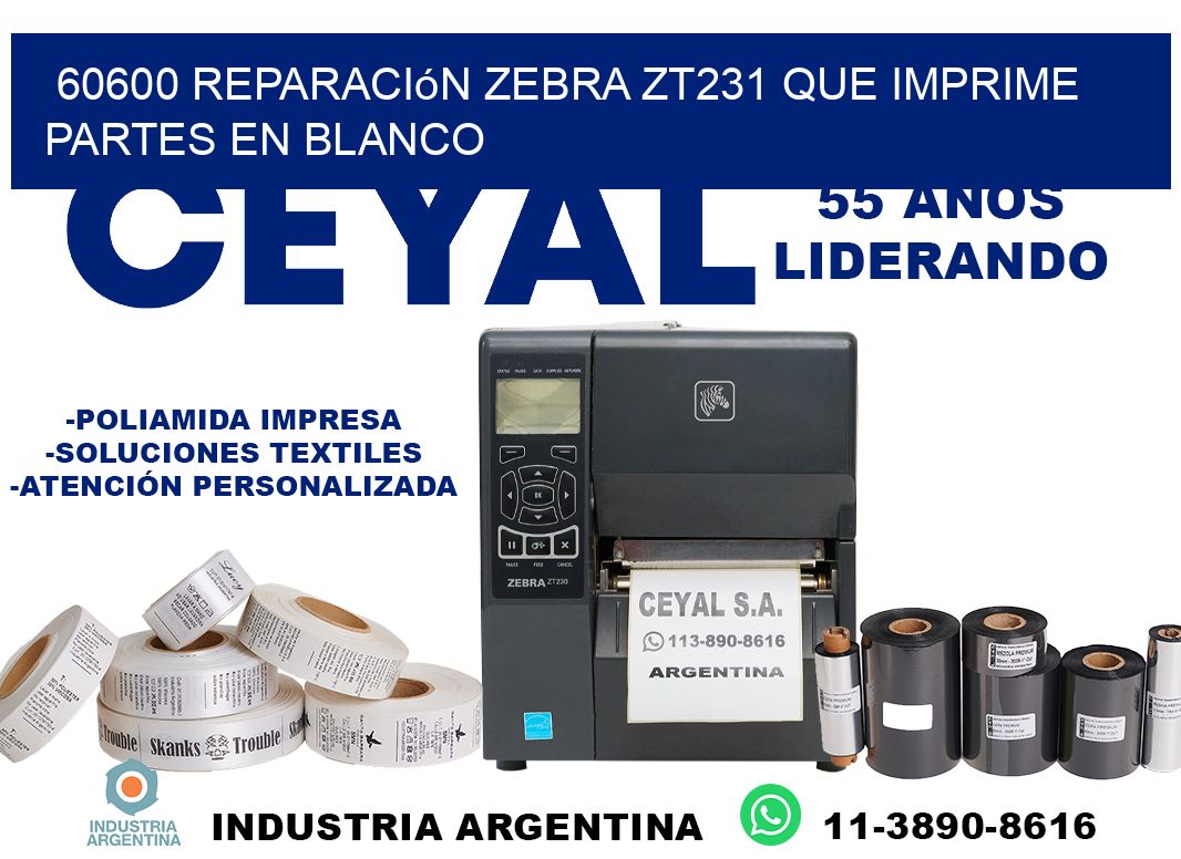 60600 reparación zebra zt231 que imprime partes en blanco
