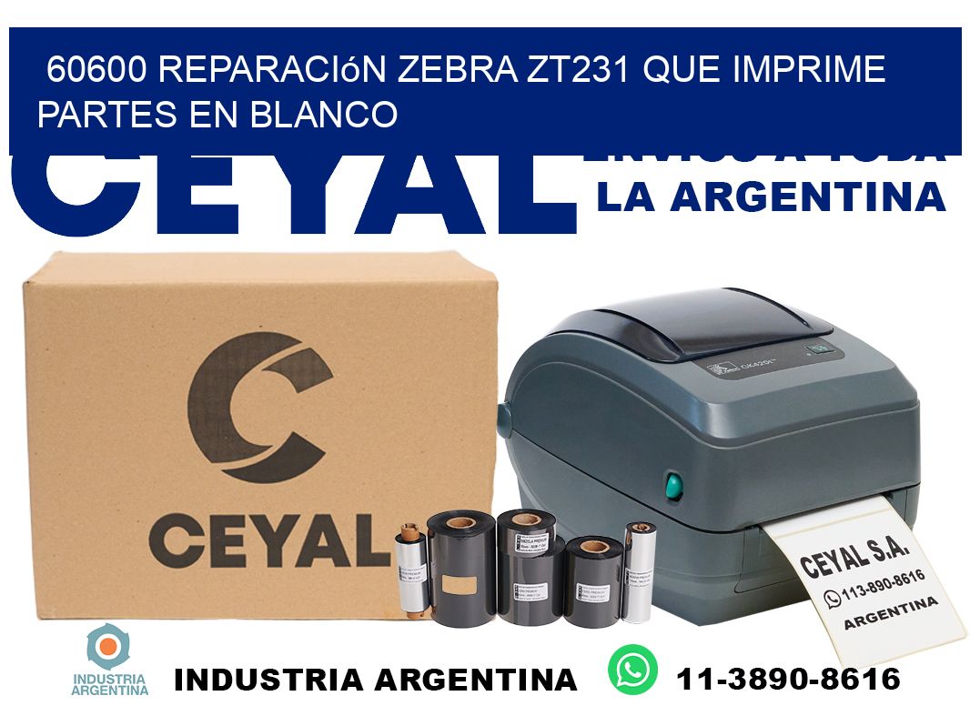 60600 reparación zebra zt231 que imprime partes en blanco