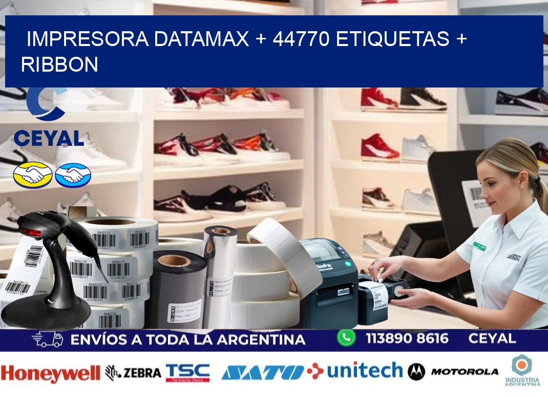 impresora DATAMAX + 44770 etiquetas + ribbon
