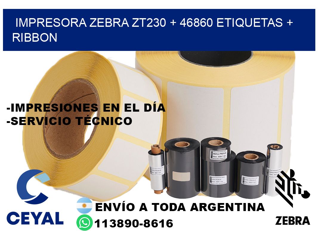 impresora zebra zt230 + 46860 etiquetas + ribbon
