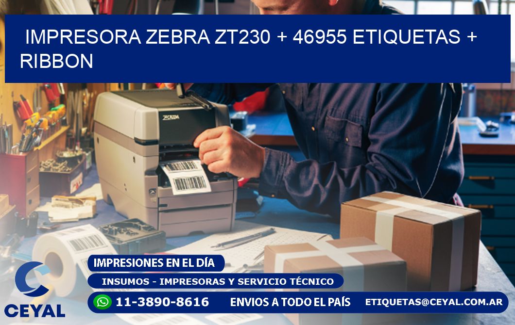 impresora zebra zt230 + 46955 etiquetas + ribbon