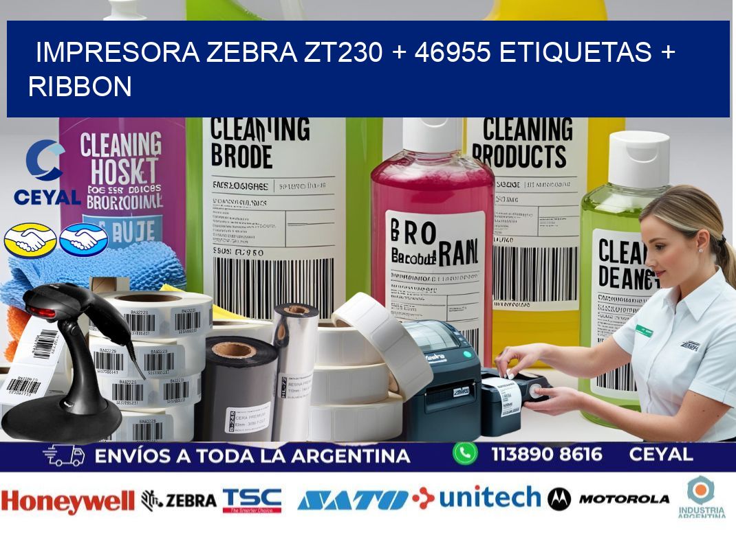 impresora zebra zt230 + 46955 etiquetas + ribbon