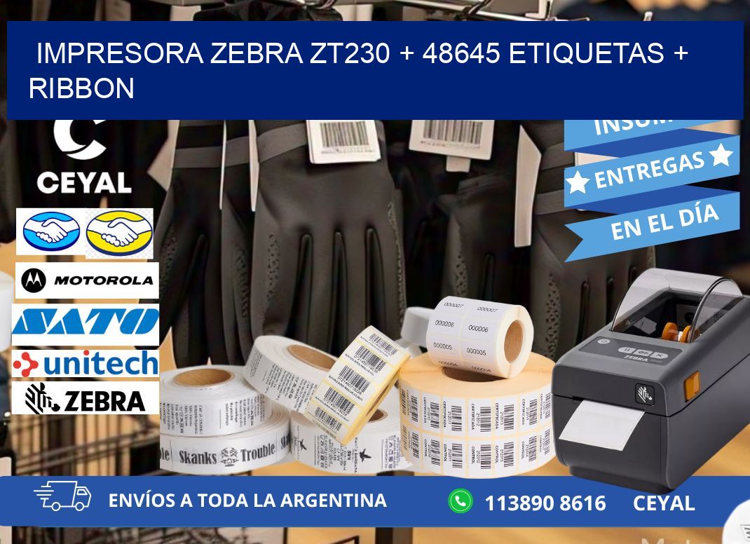 impresora zebra zt230 + 48645 etiquetas + ribbon