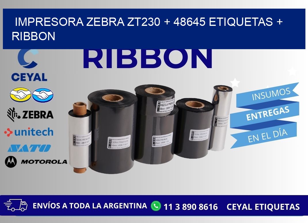 impresora zebra zt230 + 48645 etiquetas + ribbon