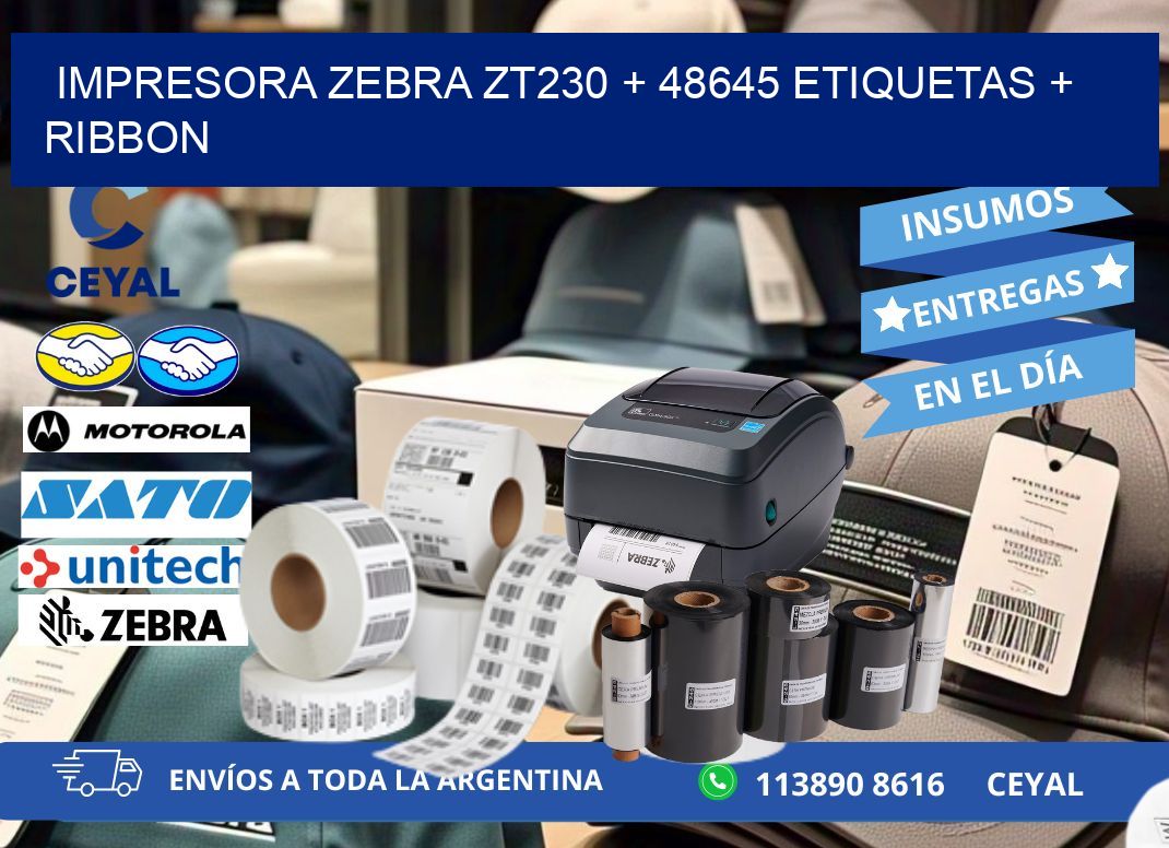 impresora zebra zt230 + 48645 etiquetas + ribbon