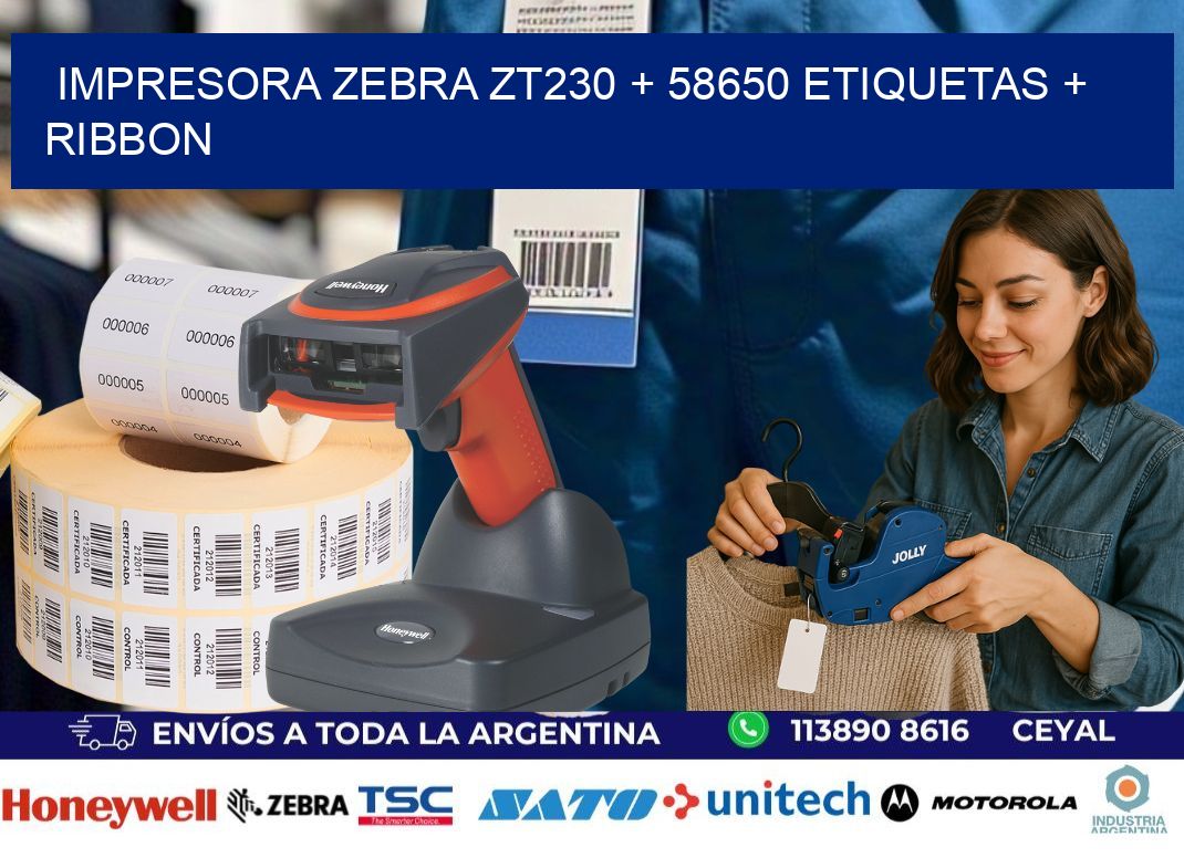 impresora zebra zt230 + 58650 etiquetas + ribbon