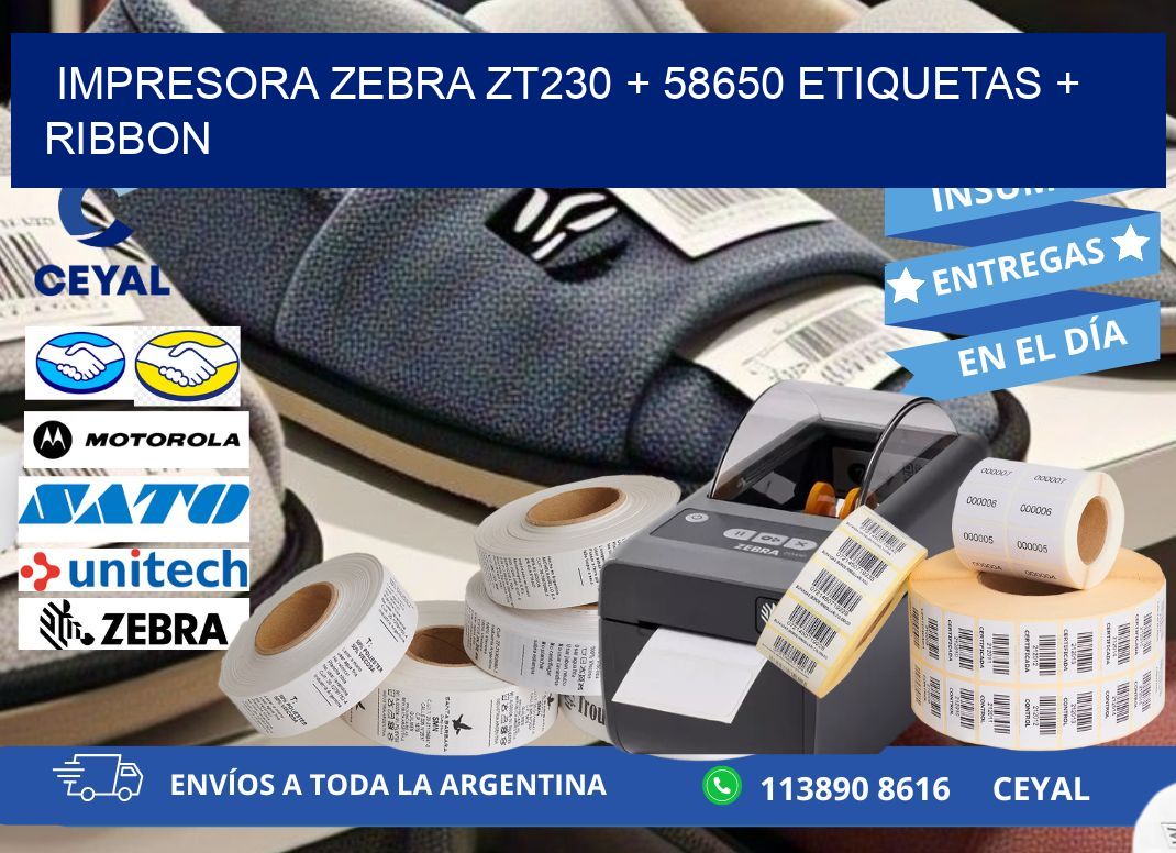 impresora zebra zt230 + 58650 etiquetas + ribbon