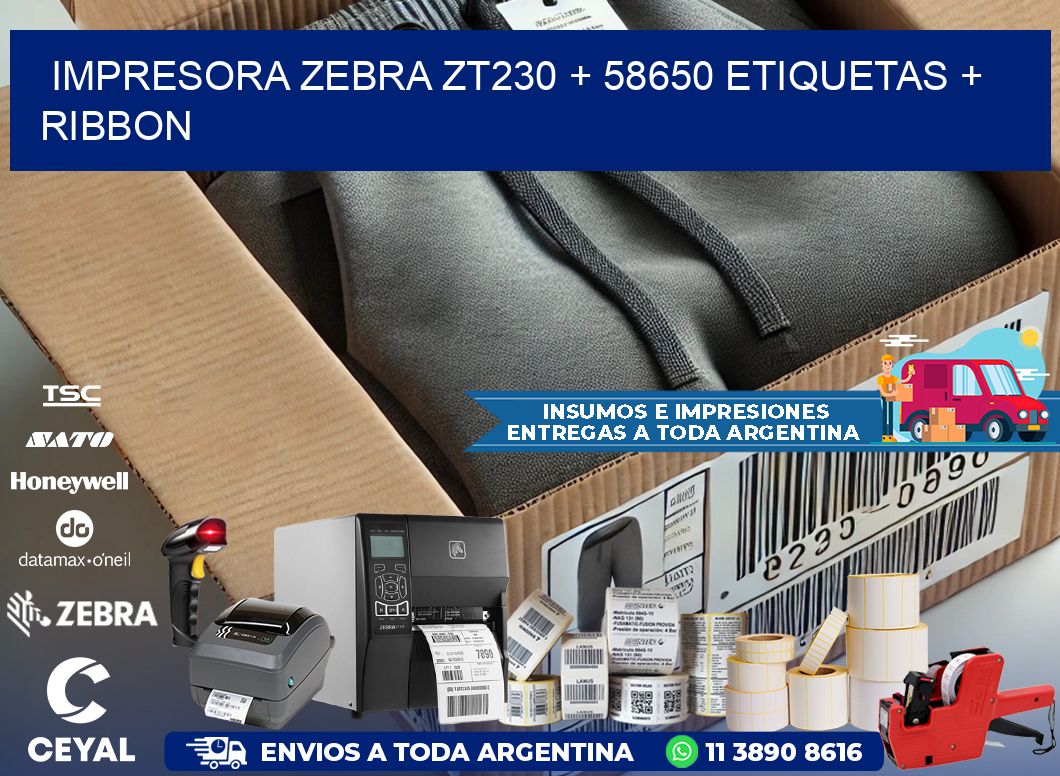 impresora zebra zt230 + 58650 etiquetas + ribbon