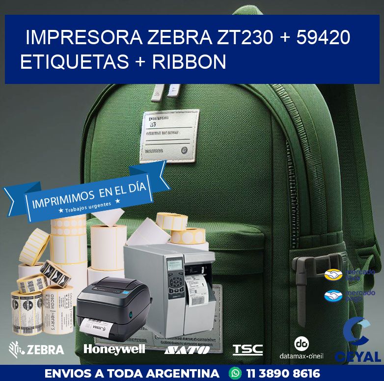 impresora zebra zt230 + 59420 etiquetas + ribbon