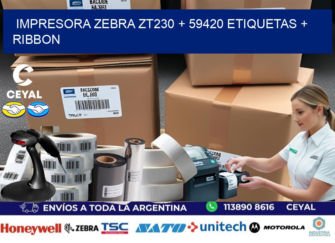 impresora zebra zt230 + 59420 etiquetas + ribbon