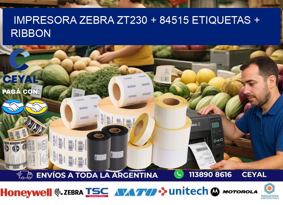 impresora zebra zt230 + 84515 etiquetas + ribbon