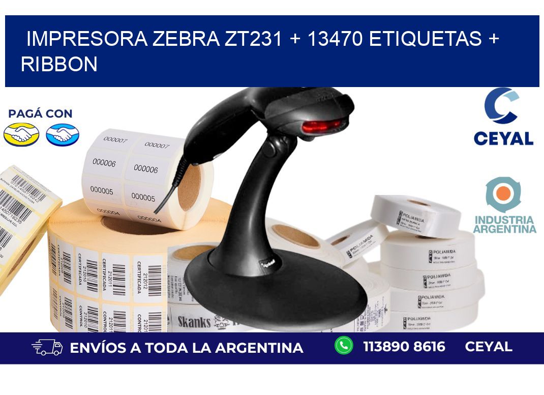 impresora zebra zt231 + 13470 etiquetas + ribbon