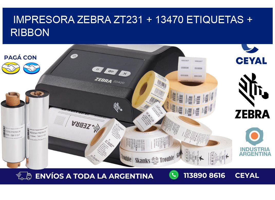 impresora zebra zt231 + 13470 etiquetas + ribbon