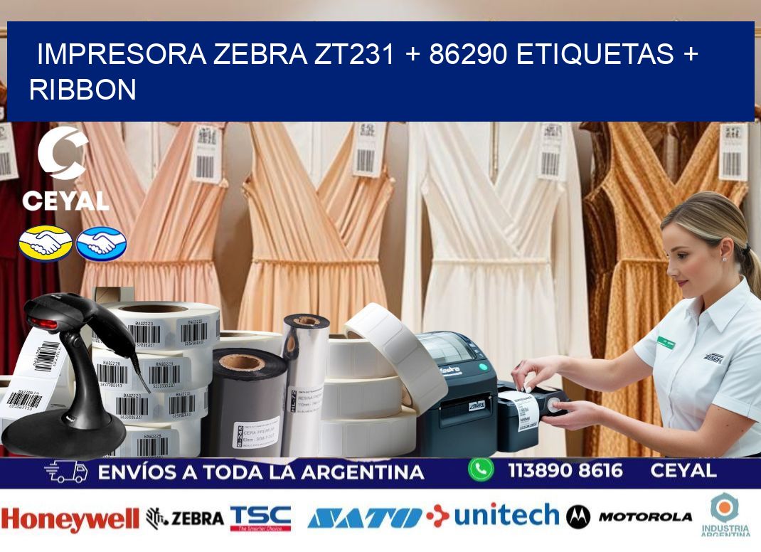 impresora zebra zt231 + 86290 etiquetas + ribbon