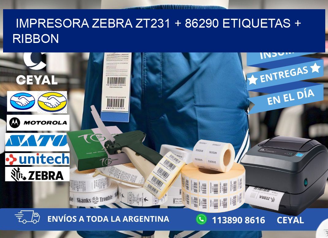 impresora zebra zt231 + 86290 etiquetas + ribbon