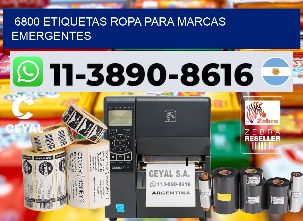 6800 Etiquetas ropa para marcas emergentes