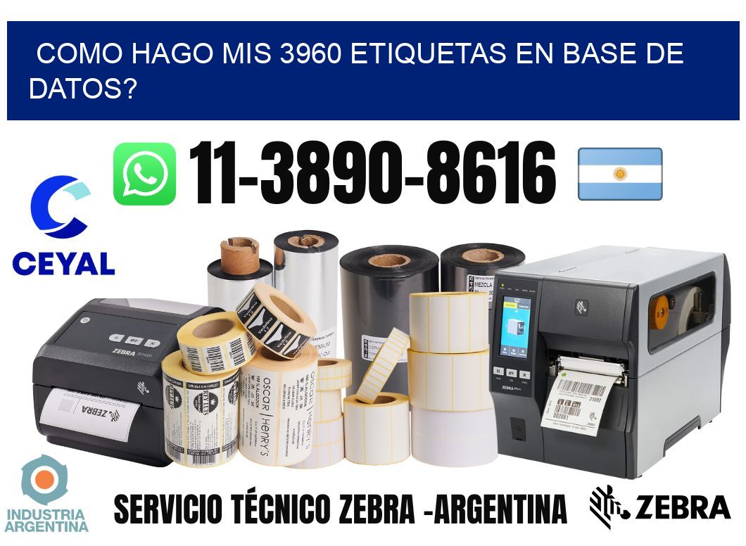 como hago mis 3960 etiquetas en base de datos?