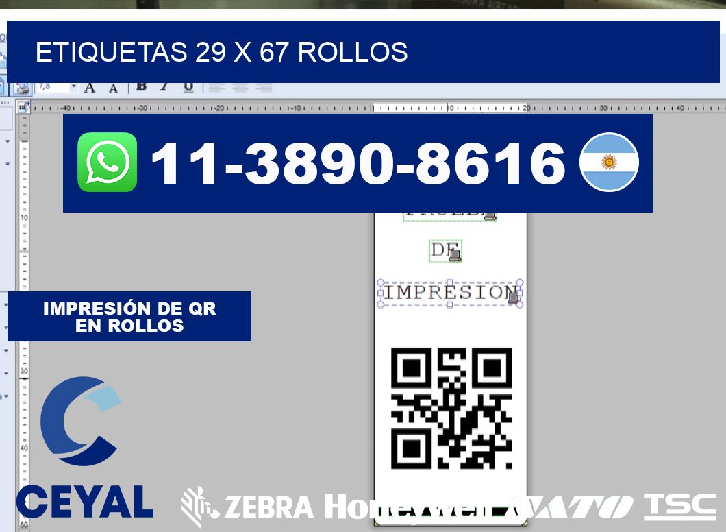 etiquetas 29 x 67 rollos