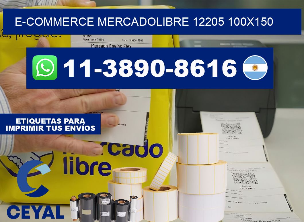 E-commerce mercadolibre 12205 100×150