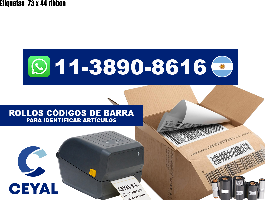 Etiquetas  73 x 44 ribbon