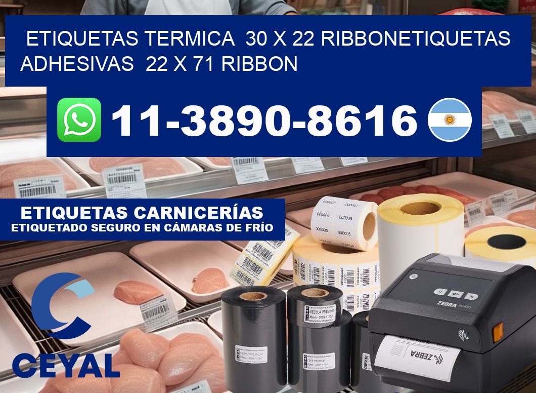 Etiquetas termica  30 x 22 ribbonEtiquetas adhesivas  22 x 71 ribbon