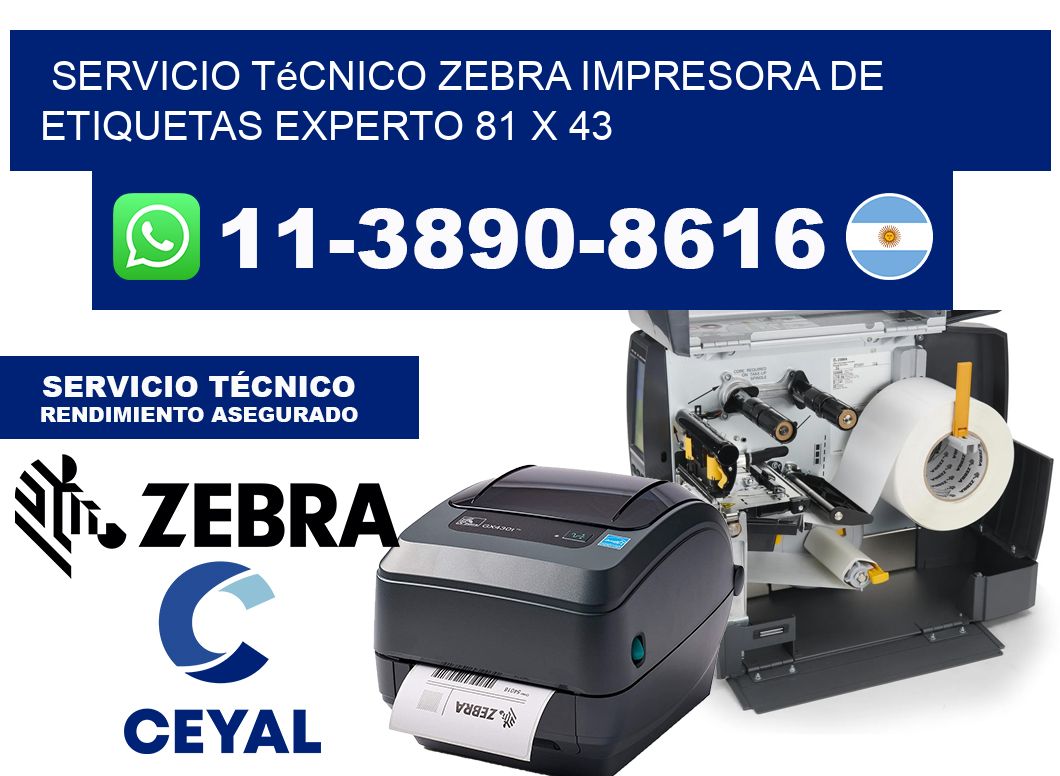 Servicio Técnico Zebra Impresora de Etiquetas Experto 81 x 43