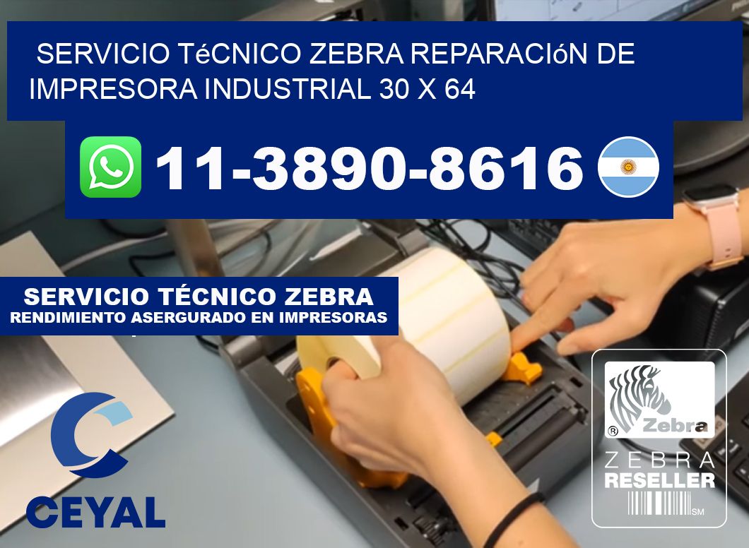 Servicio Técnico Zebra Reparación de Impresora Industrial 30 x 64