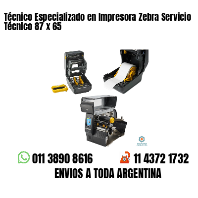 Técnico Especializado en Impresora Zebra Servicio Técnico 87 x 65