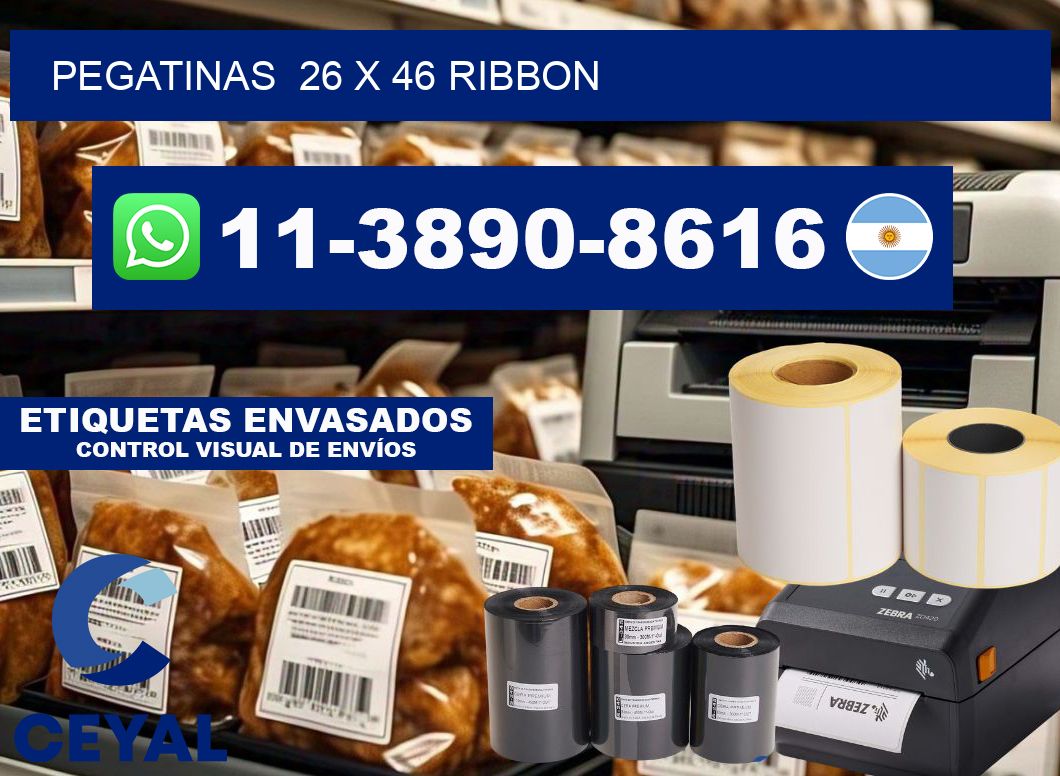 pegatinas  26 x 46 ribbon