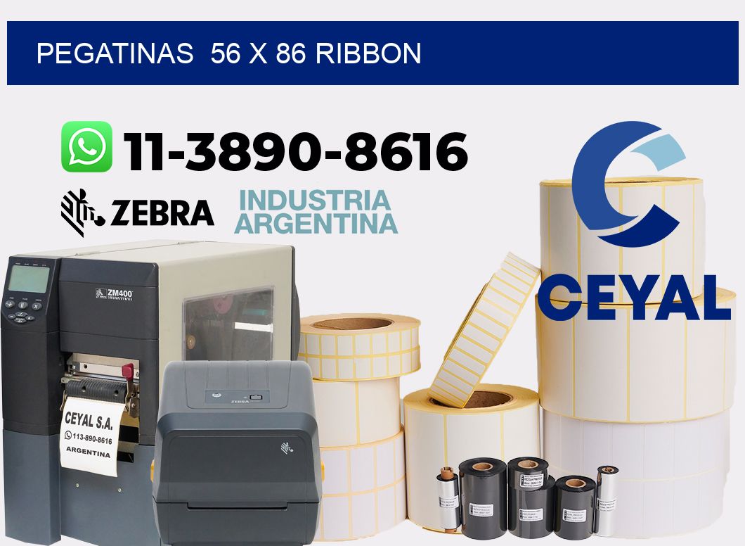 pegatinas  56 x 86 ribbon