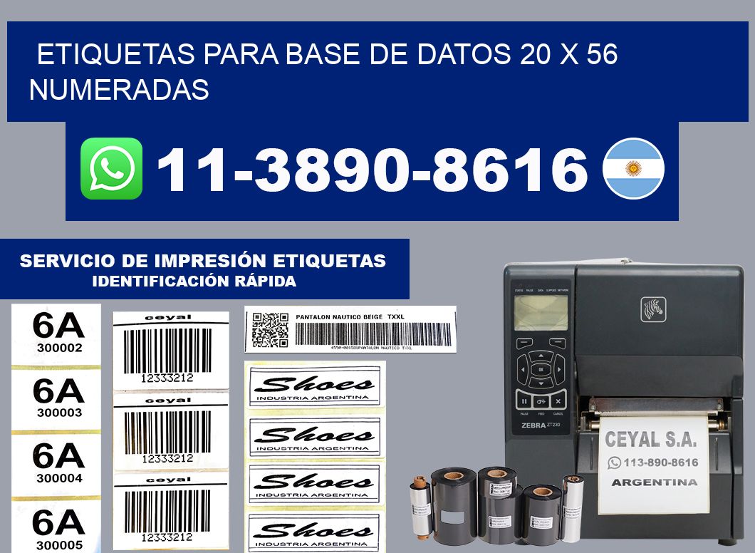etiquetas para base de datos 20 x 56 numeradas