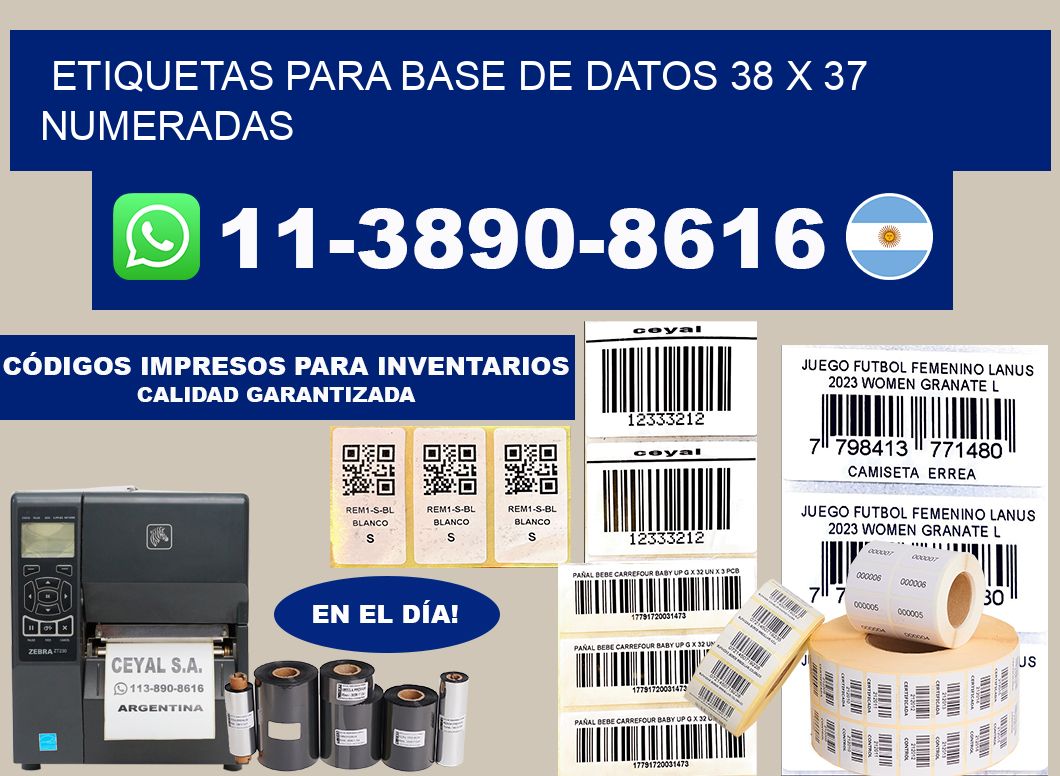 etiquetas para base de datos 38 x 37 numeradas