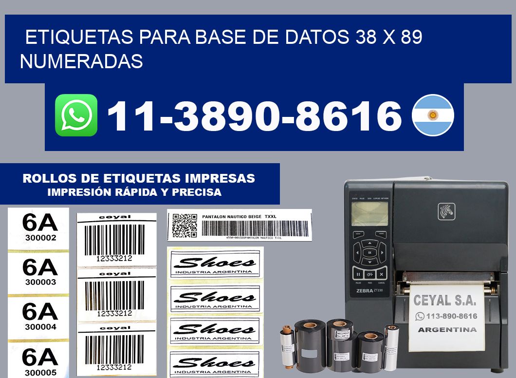 etiquetas para base de datos 38 x 89 numeradas