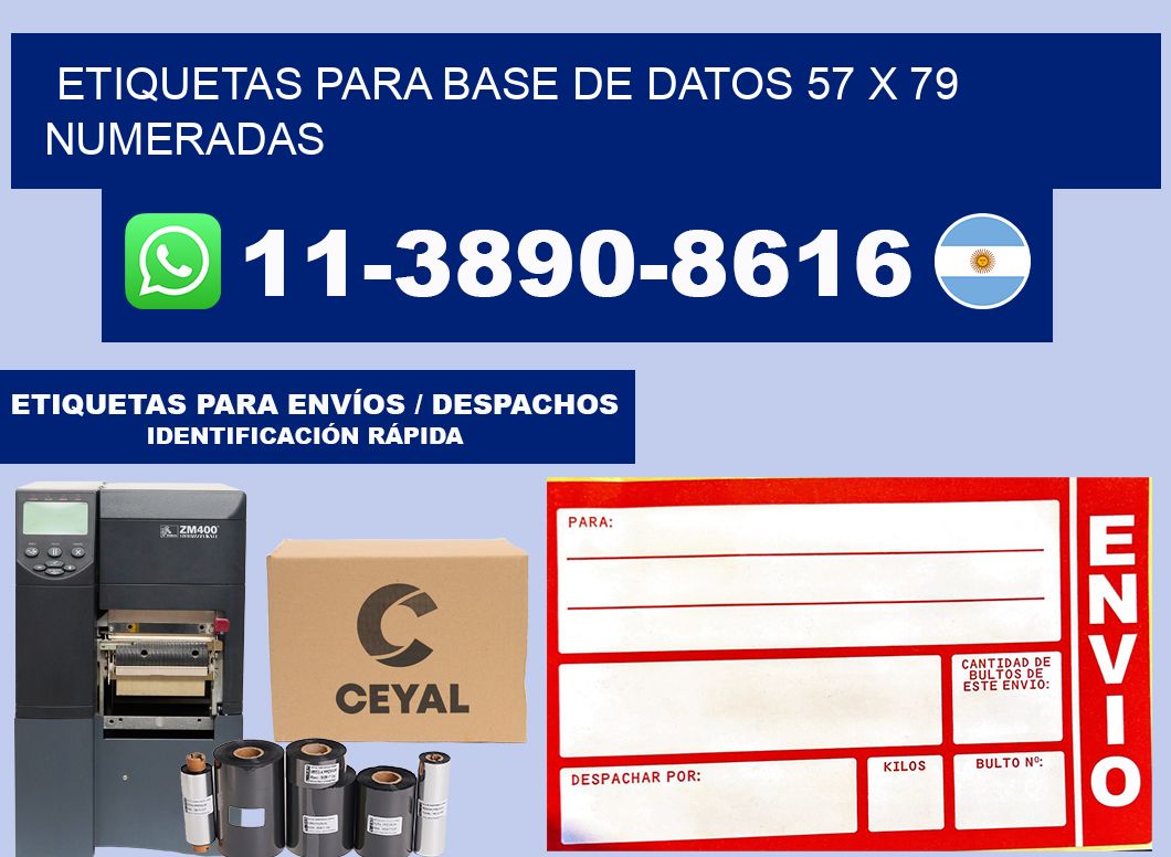 etiquetas para base de datos 57 x 79 numeradas