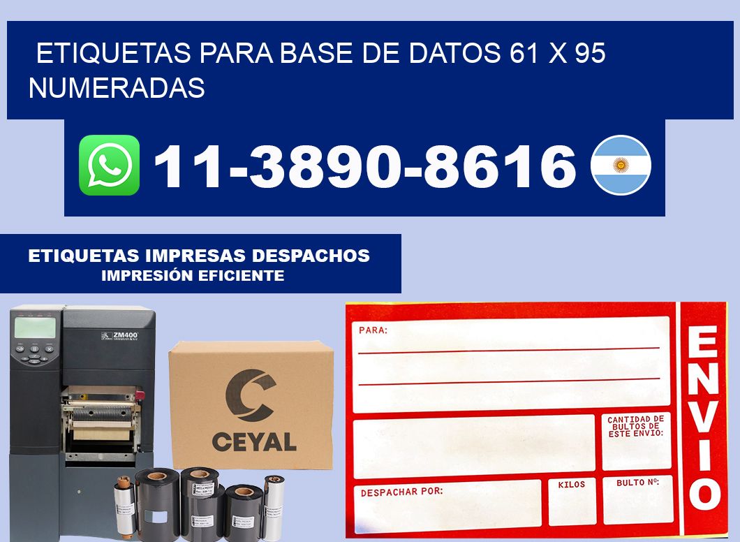 etiquetas para base de datos 61 x 95 numeradas