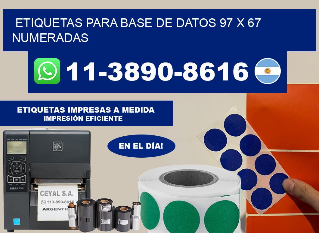 etiquetas para base de datos 97 x 67 numeradas