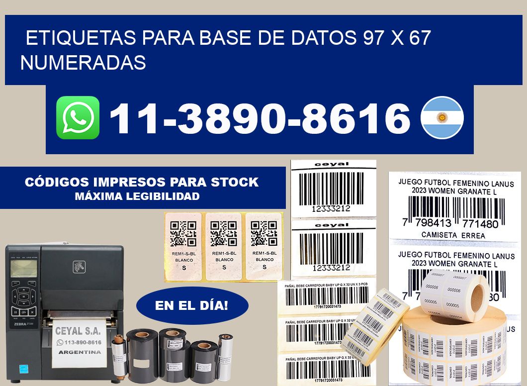 etiquetas para base de datos 97 x 67 numeradas